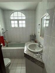 Poh Huat Road (D19), Semi-Detached #567612941